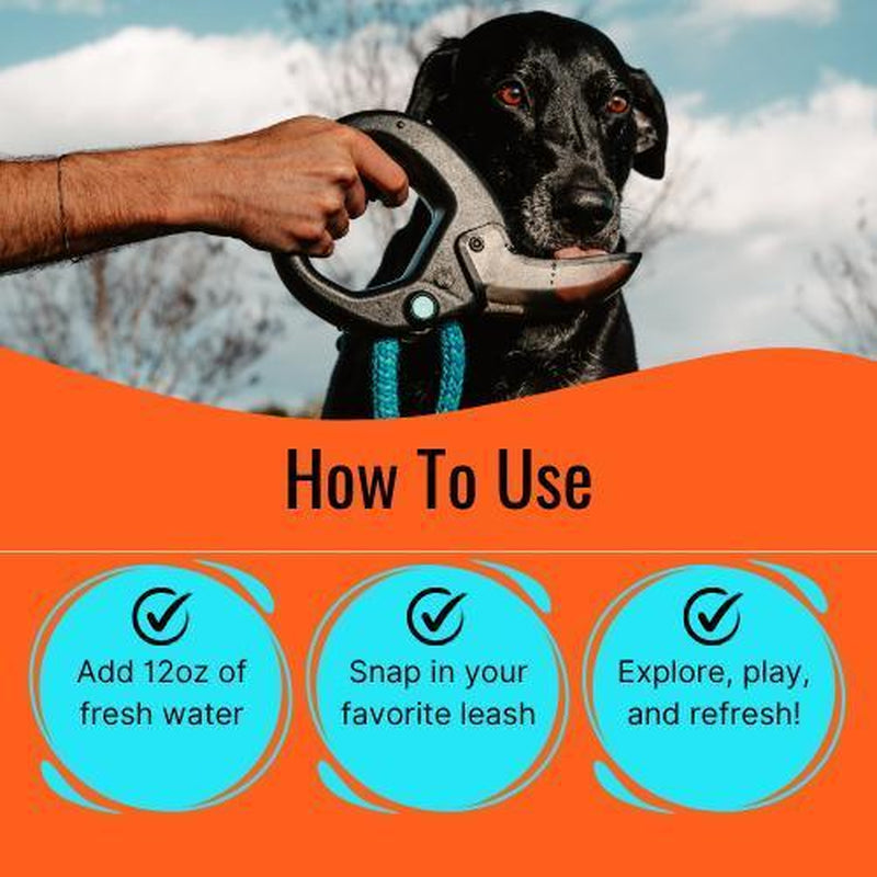 Dog Water Bottle with Flip Open Cup - Water Dispenser Grip Contains 12 Fl Oz Water
