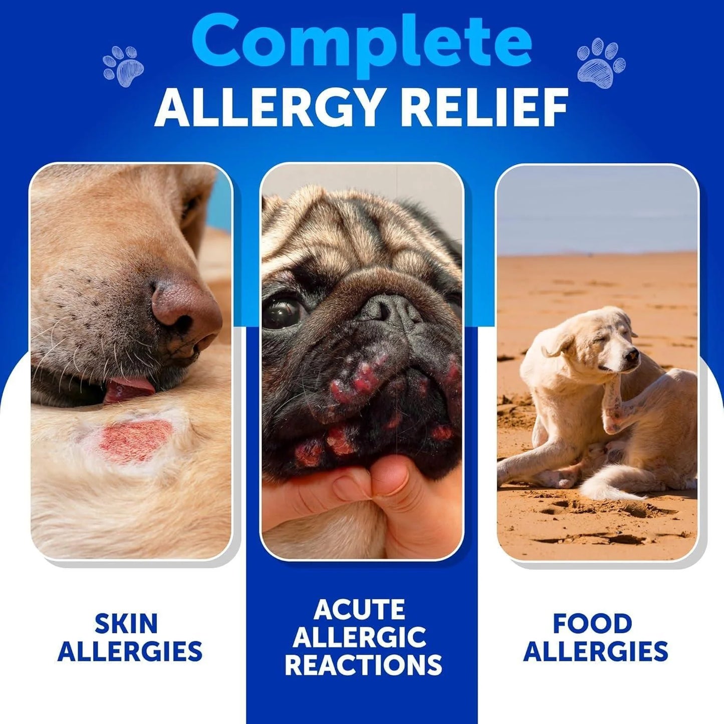Dog Allergy Relief Chews - Itching Skin Relief for Dogs 